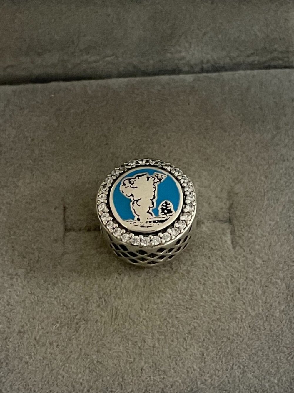Pandora Yellow Stone National Park Exclusive Charm Bead